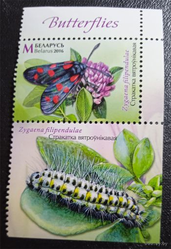 Лот 247 Беларусь (2016) Бабочки. Пестрянка таволговая с купоном BY1155