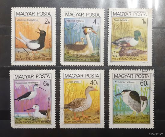 Венгрия. 1980 год. Фауна. Птицы (338)