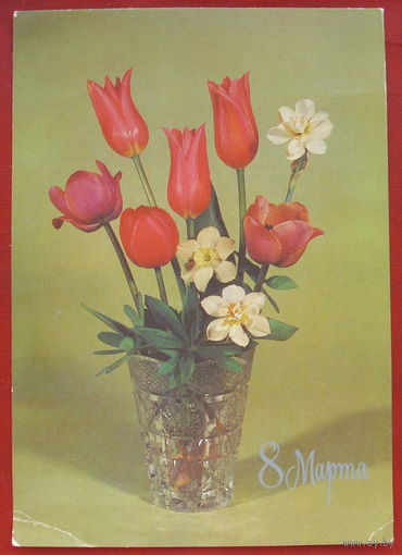 8 марта! Подписанная. 1983 года. Круцко. 1155.