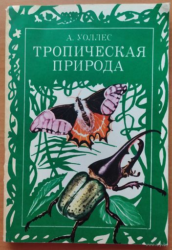 ТРОПИЧЕСКАЯ ПРИРОДА