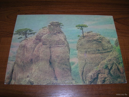 Крым 1989 год Чистая