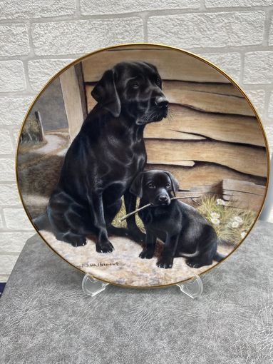 Декоративная тарелка Franklin Mint LiKe Father, Like Son 20.5 см. Посмотрите мои лоты