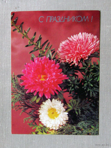 С001 Открытка С праздником! Фото Круцко Подписана СССР 1990