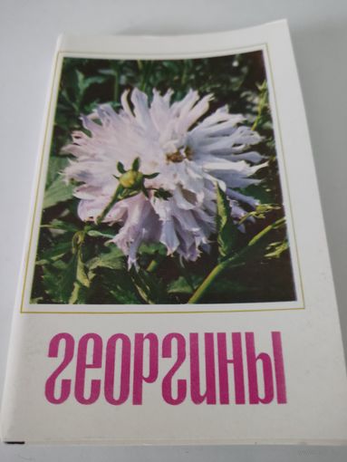 Набор из 30 открыток "Георгины" 1974г.