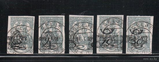 Югославия(Словения)-1920(Мих.134-138) гаш. , Стандарт, Надп. (полная серия)