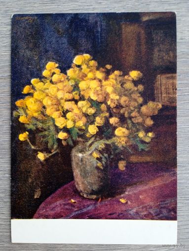 1957. Выэрахансу. Купальницы