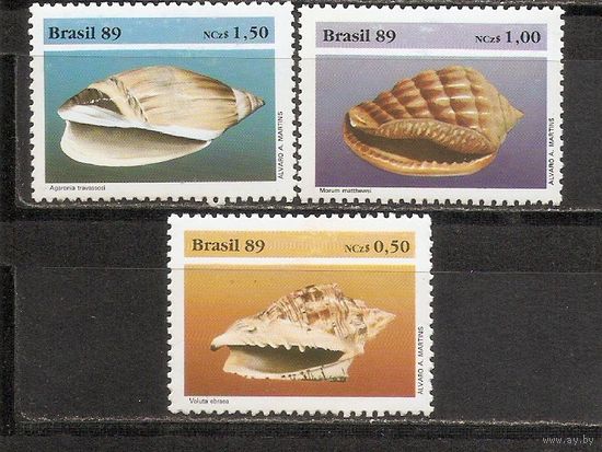ФФ1 Бразилия 1989 Ракушки