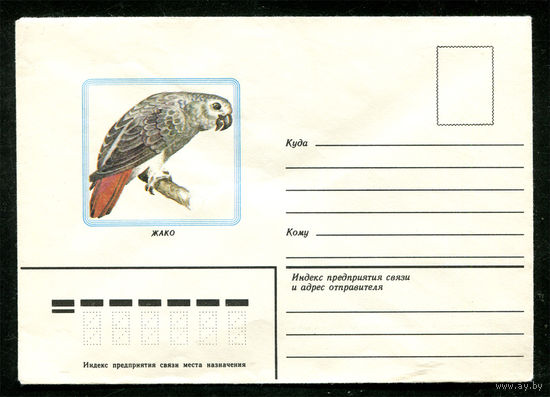 Конверт. Попугай жако. 1983