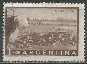Аргентина. Стадо скота. 1954г. Mi#624.