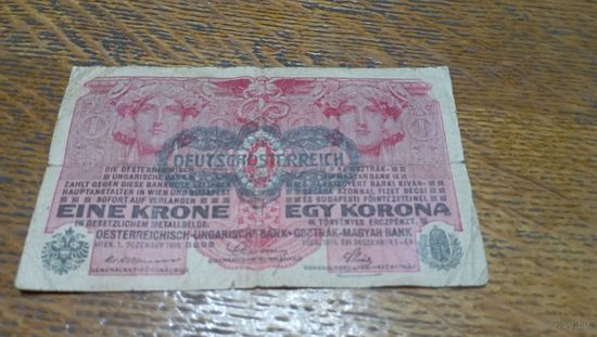 1 крона Австро-Венгрии с надпечаткой "Австрия" * 1563