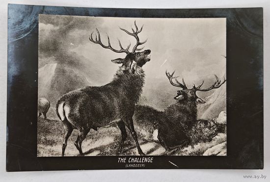 До 1917 года  открытка