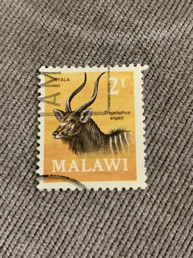 Малави. Tragelaphus angasi. Марка из серии
