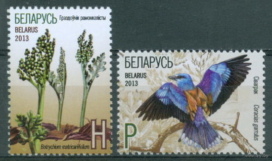2013. 944-945. Гроздовник ромашколистный Сизоворонка **