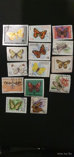 Лот бабочек разные 14шт