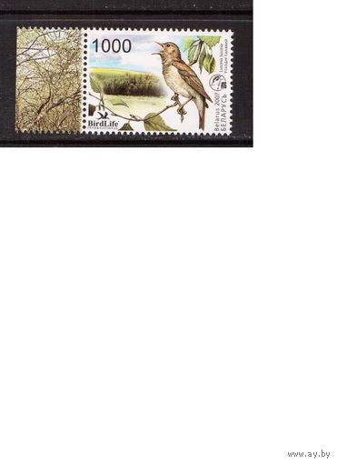 Беларусь-2007,(Мих.662) **  , Фауна, Птицы, Соловей(1)