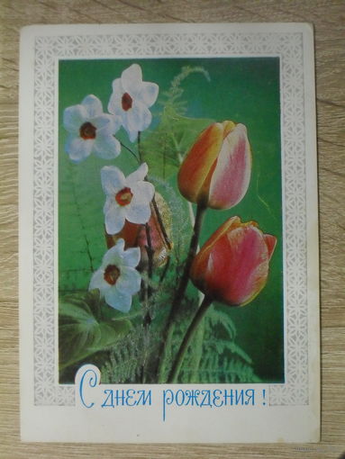 ПОДПИСАННАЯ ОТКРЫТКА СССР. "С ДНЕМ РОЖДЕНИЯ!" ФОТО. Г. КОСТЕНКО. 1978 ГОД.