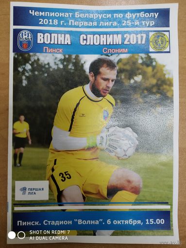 Волна - Слоним-2017