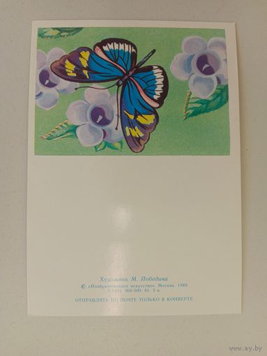 Открытки Победина,чистая,1989