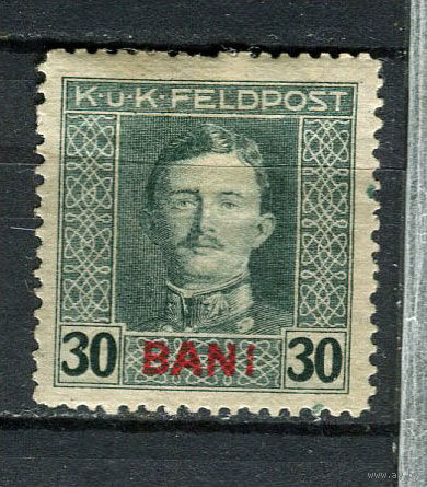 Австро-Венгреская оккупация Румынии - Полевая почта - 1917 - Кайзер Карл I 30 BANI - [Mi.9A] - 1 марка. MH.  (Лот 42Do)