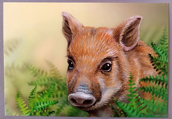 Поросенок. Из серии "Детская филателия". Открытка