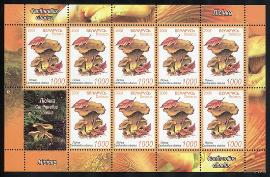2008_Грибы.