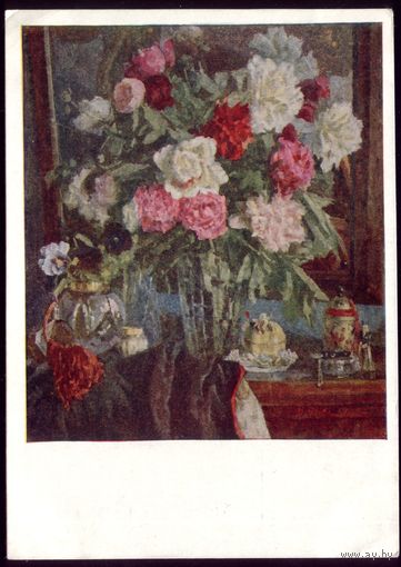 1958 год Д.Покаржевский Пионы