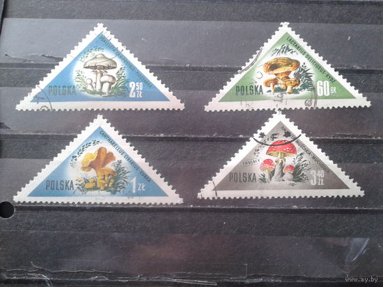 Польша 1959 Грибы