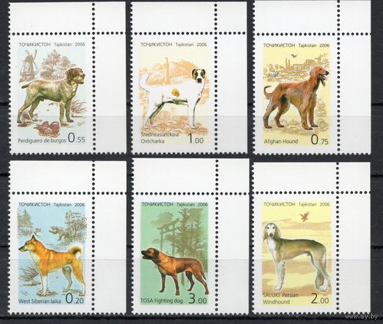 Таджикистан 2006. Фауна . Собаки (433)