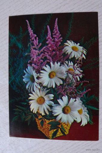 Костенко Г., Композиция из цветов, 1984, чистая (ромашки).