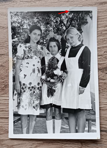 Пионеры СССР (3)