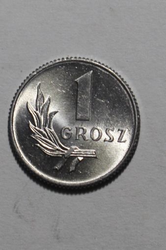 Польша, 1 грош, 1949 год, UNC