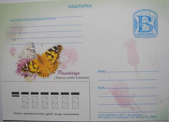 Карточки РБ. Бабочка "Репейница". 2007г.