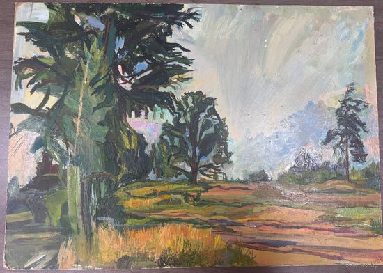 Картина Басов Б. М. Картон Масло 85*60 1971 г