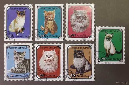 Монголия. 1979 год. Фауна. Кошки (7 марок)