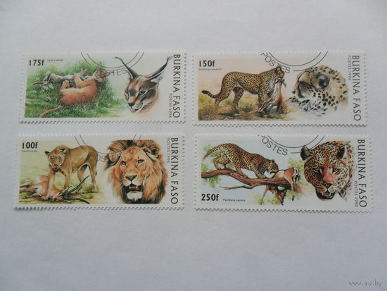 Буркина-Фасо, леопарды