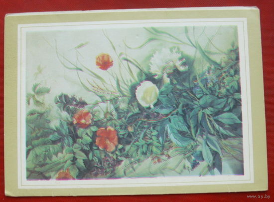 Цветочная мозаика. Чистая. Двойная. 1984 года. Рига. 1331.