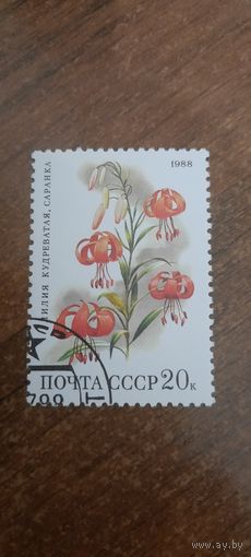СССР 1988. Лилия Кудреватая Саранка. Марка из серии