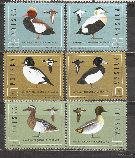 ФФ1 Польша 1985 Птицы