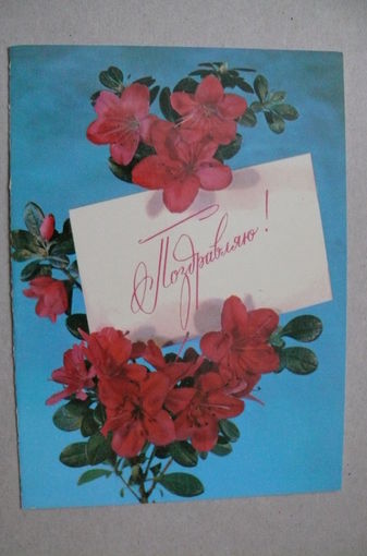 Поздравляю! 1980, 1981, двойная, чистая.