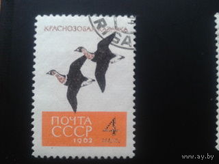 СССР 1962 птицы