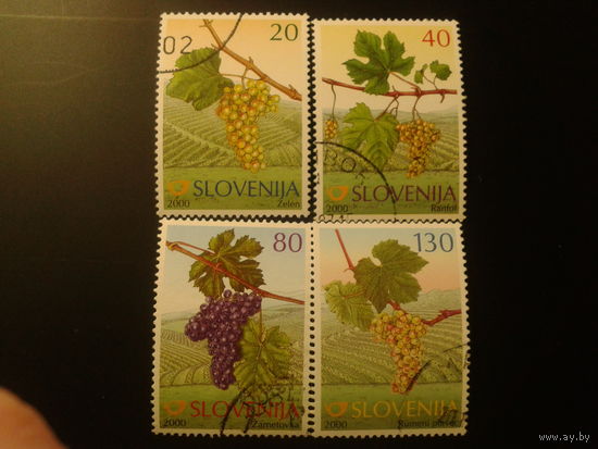 Словения 2000г. Виноград полная серия