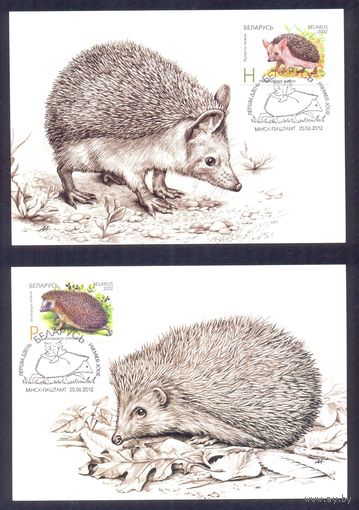 Беларусь КМ 2012 фауна ежики