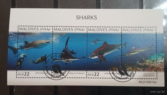 ЛИСТ ФАУНА рыбы морские обитатели  СТО