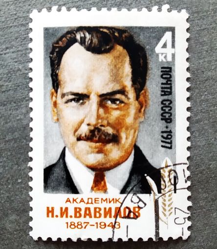 Марка СССР 1977 год Н.И.Вавилов