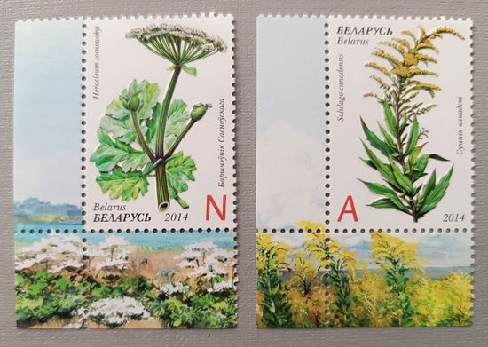 Инвазивные растения Беларуси. Беларусь, 2014. Серия из 2-х марок, глубокое тиснение.