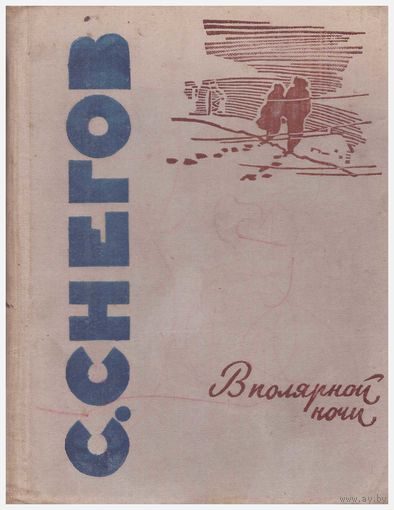 В полярной ночи