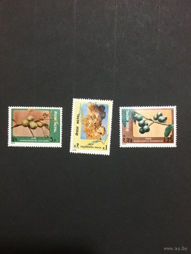 Фрукты, Непал,1978, серия 3 марки