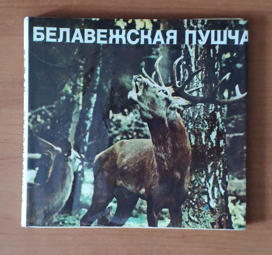 Белавежская пушча. Беловежская пуща. Фотоальбом