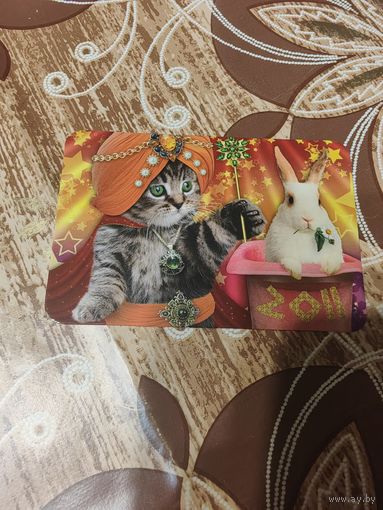 Календарик,коты,украина,2011