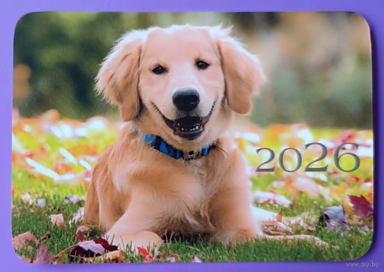 Собака. Календарик, глянец, 2026.ТРАСКО